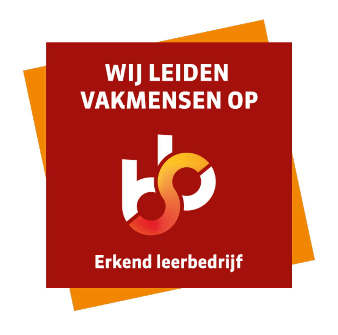 Afbeelding Skyworks erkend leerbedrijf